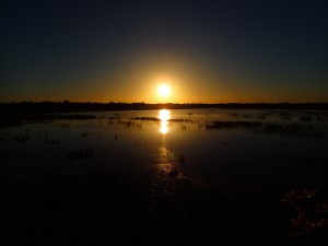 Sunrise over the billabong in Kakadu
