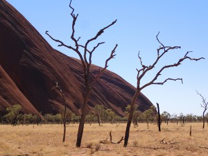 Around Uluru