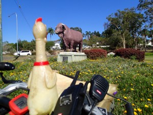 A big (load of) bull, Rockhampton, Qld