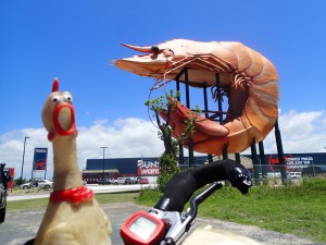 The big prawn, Ballina, NSW