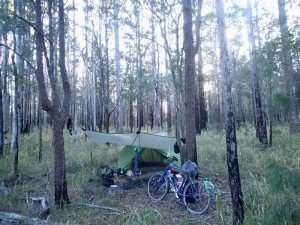 Found a beautiful bush campsite courtesy of a "short cut" mapped out by Google